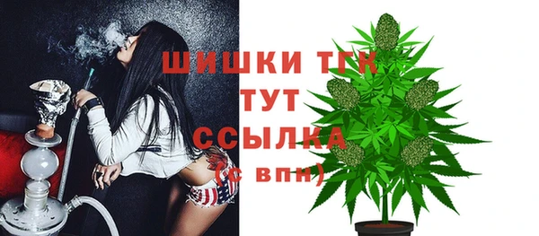 прущие грибы Иноземцево